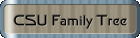 Family Link