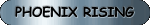 Phoenix Rising Banner