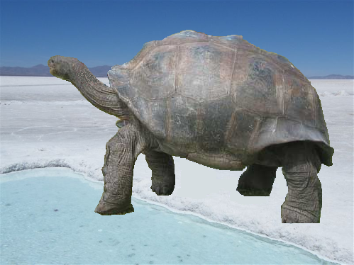 Silicon ET on salt flats
